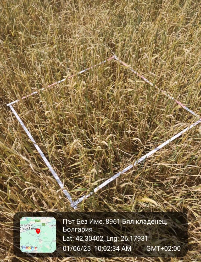 Растения - поражения и оценка на щети