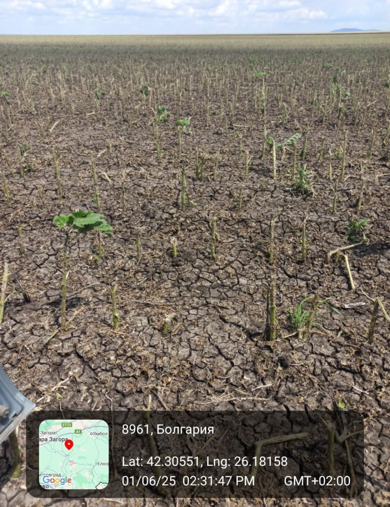 Растения - поражения и оценка на щети