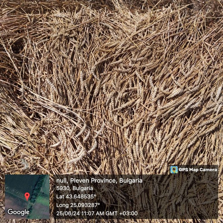 Растения - поражения и оценка на щети